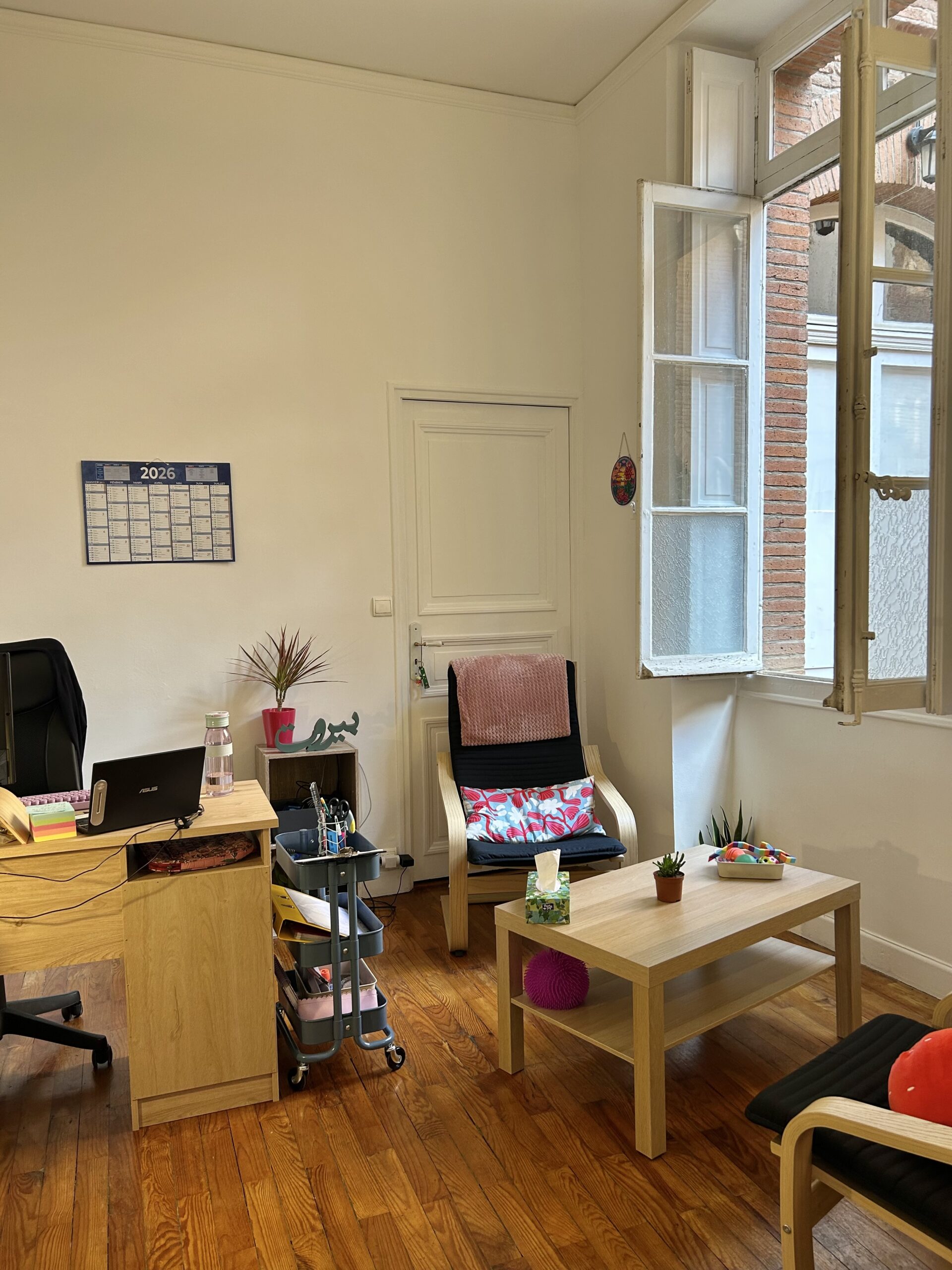 psychologist toulouse