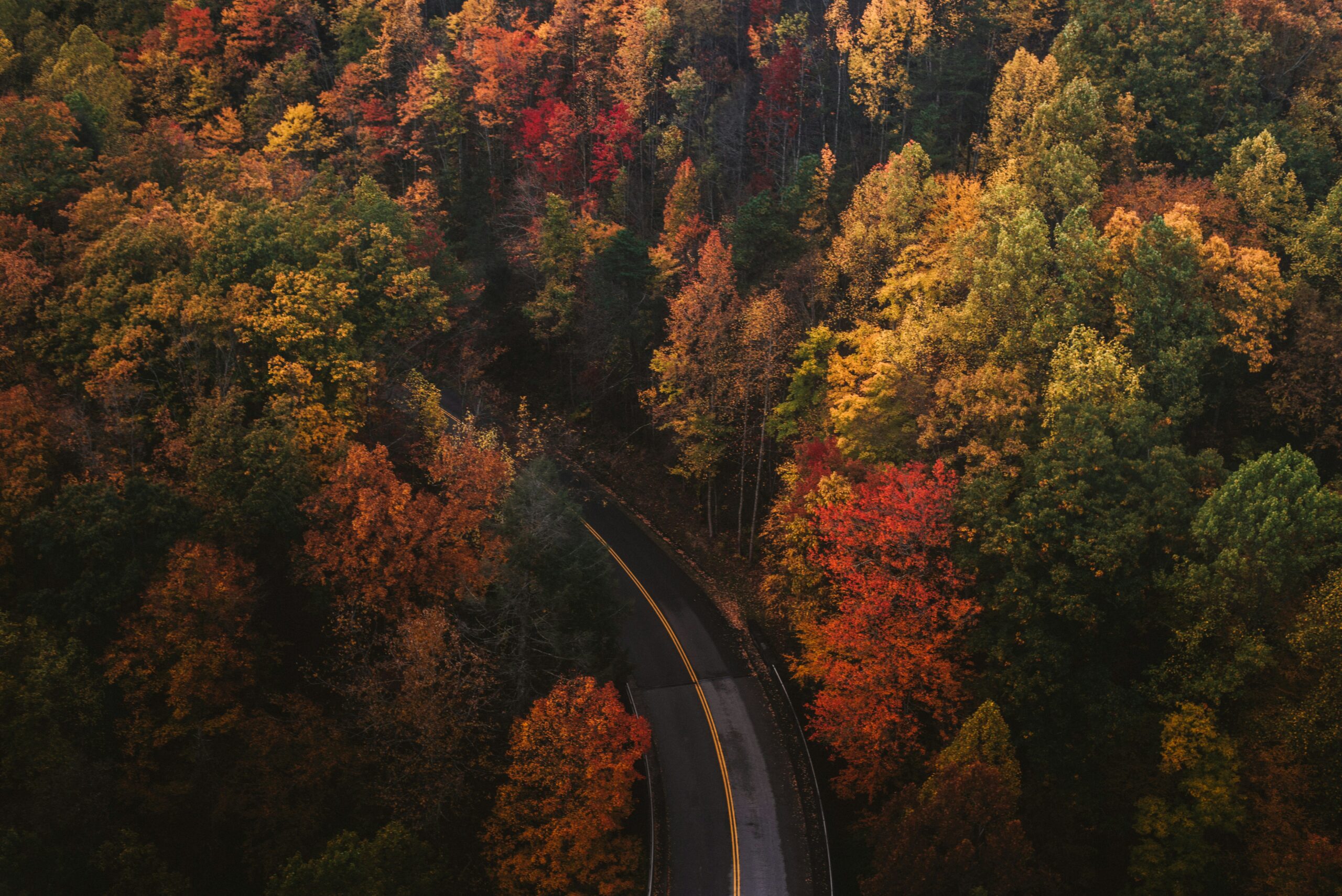 anxiété en automne